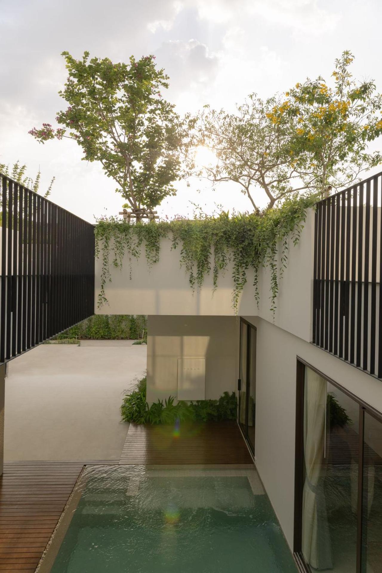 Tree O'Clock Pool Villa - Phuket Thalang Rom bilde